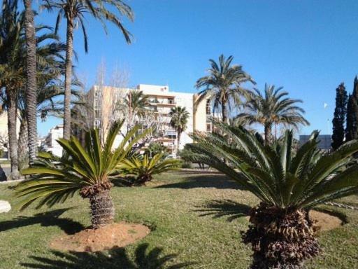 Primera Linea En Playa Sur. Plaza Constitucion Peniscola Exterior photo